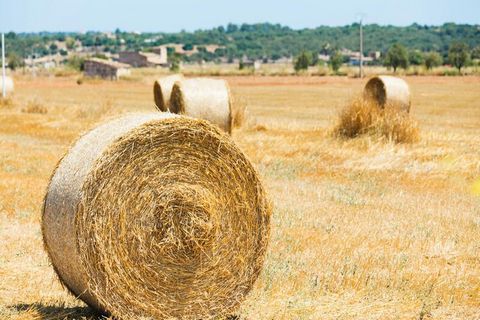 Deze charmante finca, gelegen in de buurt van Santa Margalida, biedt een rustig toevluchtsoord op slechts 7 km van de prachtige stranden van de baai van Alcudia. Het is ideaal voor gezinnen en beschikt over een privézwembad, een groot grasveld met ee...