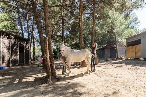 Obiekt Résidence Pont Royal en Provence – maeva Home położony jest w Bouches-du-Rhône, pomiędzy Aix-en-Provence i Awinionem. Jest to idealne miejsce, aby naładować baterie i cieszyć się wieloma atrakcjami. Rezydencja położona jest w samym sercu wiosk...