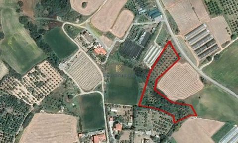 Located in Larnaca. Touristic Land for Sale in Maroni Village, Larnaca. Field within the holiday home zone in Maroni Community, in Larnaca District. The asset is located approx. 5km northeast from Zygi community, approx. 5km southwest from Agios Theo...