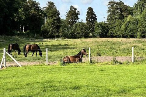 Découvrez le charme authentique de cet ancien corps de ferme rénové, et de cette demeure transmise de père en fils depuis cinq générations. Dans la Vallée du Dun, niché au cœur d'un cadre pittoresque au bord d'une petite rivière (protégé par une clôt...