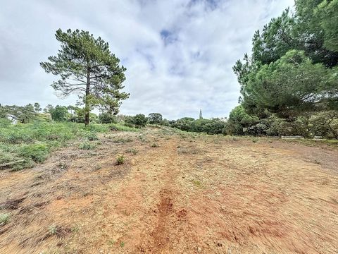 For Sale: 2,580 m² Plot in Hacienda de las Chapas Location: Hacienda de las Chapas, Marbella Plot Description: This spacious 2,580 m² plot is located in the prestigious urbanization of Hacienda de las Chapas, Marbella. It is an urban plot with a 0.25...