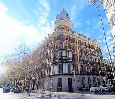 Madrid, la captivante capitale de l'Espagne, affectueusement surnommée la Villa y Corte, dégage une énergie et une diversité passionnantes qui la distinguent au cœur de la péninsule ibérique. Cette ville dynamique et éclectique n'est pas seulement le...