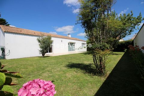 photo no. 9