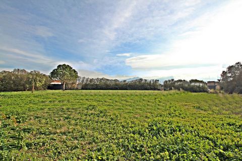 Idéalement situé à proximité de toutes commodités, sur un écrin de verdure et hors lotissement. Venez découvrir ce terrain à bâtir orienté plein sud, avec une vue imprenable sur les Albères , celui-ci est viabilisé et d' une belle contenance très rar...