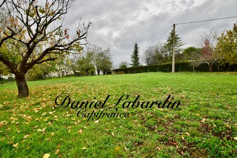 photo no. 1