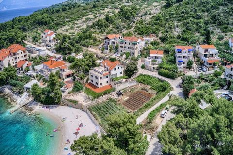 Apartments Ivo are situated in Postira, a quite little place on island Brač, 50 metres from Beach Lozna mala. Postira is a fishing and a tourist town located on the north side of the island of Brac, rich with attractive sandy and pebble coves. Proper...