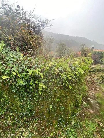 Steinheuhaufen zur Restaurierung mit der Möglichkeit, 2 Stockwerke zu machen. Das Anwesen befindet sich in einem sehr ruhigen Dorf, nur 10 Minuten von den Gehwegen von Ribeira das Quelhas, 5 km von Poço Corga und 10 km von den Dörfern Castanheira de ...