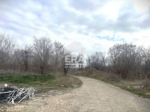 ERA Varna Trend offers for sale a regulated plot of land, intended for warehouse activities, in the Western Industrial Zone, 200 m from the main road, with good access. The plot has an area of 3 448 sq.m., facing 85 m. The building parameters are: ki...