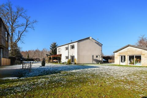 photo no. 1