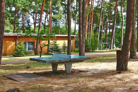 Piccolo e accogliente villaggio turistico con ristorante rustico in una splendida posizione collinare tra 2 laghi e con vista sull'acqua. Una bella zona balneare fornisce refrigerio nelle calde giornate estive. Petri Jünger sfrutta le buone possibili...