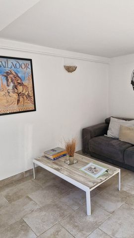 photo no. 15