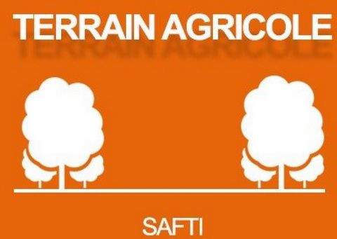 Terrain agricole Saint Plantaire