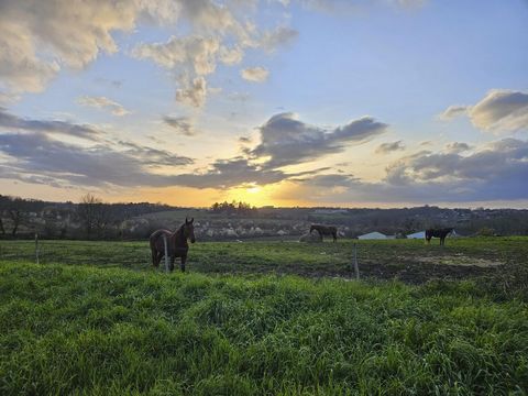 Grand terrain constructible viabilisé