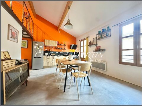 Appartement T2 de type LOFT prox Palais des Papes