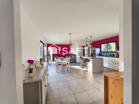 Vue sur les Pyrénées