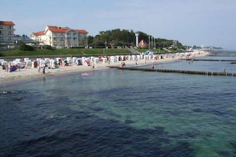 Family holiday apartment near the beach on a holiday farm on the outskirts of the Baltic Sea resort of Kuehlungsborn/Ost, between the Hanseatic cities of Wismar (approx. 40km) and Rostock (30km). This well-equipped 3-room apartment is ideal for famil...