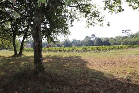 Wine Estate Cru Bourgeois in the AOC Listrac-Médoc! Rarity - vineyard situated in the AOC Listrac, one of the oldest appellations of the Medoc peninsula and located between the Margaux and Saint Julien appellations. The wine estate represents a total...