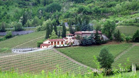 Biodynamic winery with country resort, swimming pool, vineyards and land for sale a few kilometers from Acqui Terme, Piedmont. Set among the hills of Monferrato, adorned with woods and vineyards. The area is included in the Unesco Heritage List, toge...