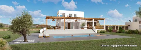 Kastraki Naxos, villas with a large private garden are available for sale. Each villa consists of 4 bedrooms, 5 bathrooms, a kitchen and a living room. In the area in front of each villa, there is a garden with a large swimming pool and behind there ...