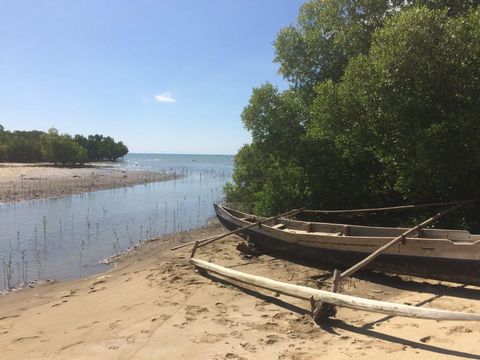 FOR SALE to an island of NOSY FALY SOUTH in Madagascar. More than 200 hectares to develop entirely. Any project can be considered entirely constructible. Land easily accessible by land, sea and air. Unique opportunity to seize. 200 HA to be fully dev...