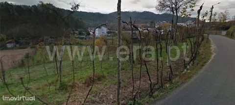 Construction site in Armil Land for construction with 4,600 m2 of total area, front of road, is located 2 minutes from the Center of Fafe and the entrance of the highway and the highway. It offers views of the parish, quiet place, sun exposure to the...