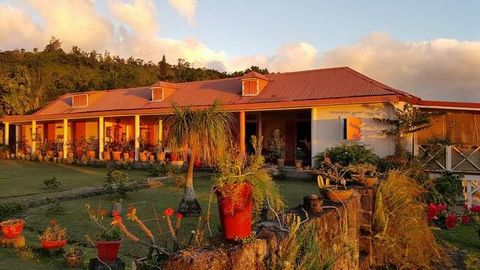 In its green setting, former property from 1835, outbuilding of Camp Jacob, on 4700 m2 of a wooded park: lychee, remarkable mahogany, fruit trees. Colonial house with stone walls and mahogany planks benefiting from a large living gallery facing the g...