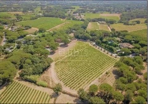 Ideally located near the beaches of Pampelonne and the village of Ramatuelle, unique property of 4 villas on a magnificent landscaped plot of more than 5 hectares, surrounded by vineyards and a pine forest. Brochure on Request. Information on the ris...