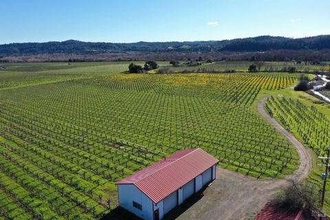 Hubbard Ranch & Vineyards. Premier 51 acre +/- ranch & vineyard property located in the heart of Alexander Valley. Located minutes to Geyserville & Healdsburg. 40 acres +/- planted to mostly Zinfandel & small block Petite Sirah & Touriga Nacional vin...