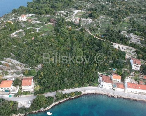 Korčula, Račišće, we are selling 8.8000 m2 of land in the first row by the sea, of which 5.500 m2 closer to the sea is for construction, and the 3.300 m2 part is outside the boundaries of the construction area, part is within the boundaries of the un...