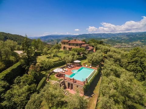 This property consists of 2 beautiful villas for a total of more than 1000 square meters, in a park of 7 hectares composed of lawn, forest and olive trees: the location is very quiet and panoramic near the most important cities such as Florence, Lucc...