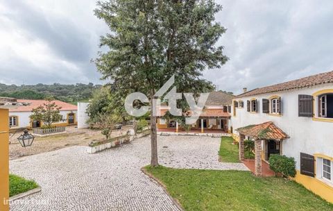 Centennial farm located in Ribatejo 10 minutes away from Chamusca and Golegã, known for their agricultural and bullfighting lifestyle. This estate, with more than 6 hectares, consists of fifteen rooms divided into two floors, games room, swimming poo...