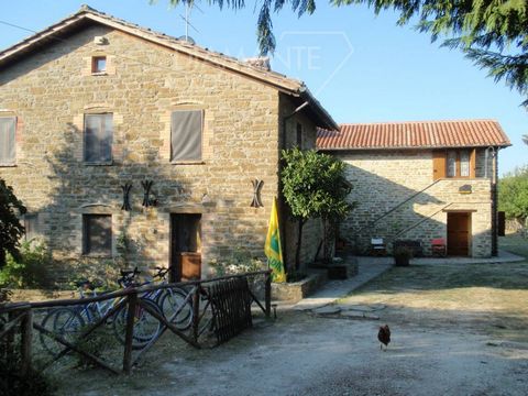 GUBBIO (PG) surroundings: in an oasis of peace and relaxation immersed in the natural beauty of Umbria, farm holiday business with restaurant, comprising: - Main house of about 380 sqm on two levels with two lounges, kitchen, reception, two bathrooms...