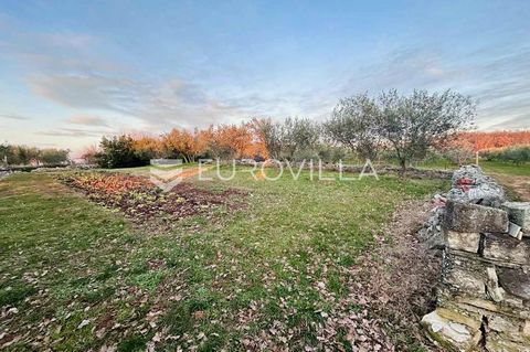 Buje, building land In the vicinity of Buje, a plot of land with a total area of 854 m2 is for sale, located in a small, nice place in a beautiful landscape. The surroundings provide a peaceful atmosphere, ideal for relaxation. The land has a regular...