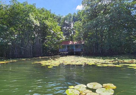 The property is located in a small picturesque bay of the Rio Dulce, in the area of the village of Barra Lampara, Livingston, Izabal. It can be reached by boat from both Rio Dulce/Fronteras and Livingston in about 30 minutes. The house is completely ...
