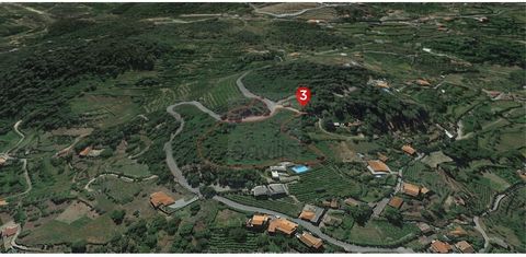 2 Building plots in Monte da Sra. Piedade, 6 km from Caldas de Aregos, facing the M554 road (connection from Anreade to Sª Cipriano). They are located in the Douro River valley, next to the Caldas de Aregos spa and close to the Alto Douro Wine Region...