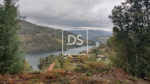 Located in one of the slopes of Barragem da Caniçada, this farm with 5,2ha has very high touristic potential. Amazing solar exposure; Possibility of building luxury bungalows and rebuild a house for tourism profitability; Amazing water and mountain v...