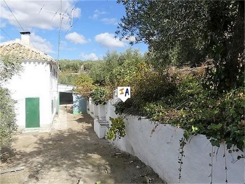 Situated in a rural location in Las Caserias, which is only 4.4kms from the popular historical city of Alcala la Real in the south of Jaen province in Andalucia, Spain. This 3 bedroom countryside home comes with a generous sized plot of 4,457m2 with ...