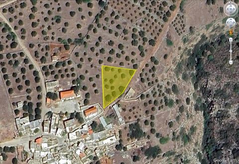 Located in Agios Nikolaos. Plot of building land, nicely positioned in a quiet countryside right next to the village of Selles, north of the famous and popular tourist resorts of Plaka and Elounda. The land is about 240 meters above sea level, enjoyi...