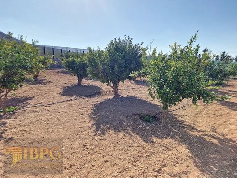 Magnificent plot of 5.175 sq.m for sale in Paros island / Sarakiniko area with many mediterranean trees. Only 450m from Irini beach, 15 min from Parikia. Can build: 210 sq.m https://youtu.be/h2JlnZJqnNw https://youtu.be/ilLfmhwS4uo https://nodalview....