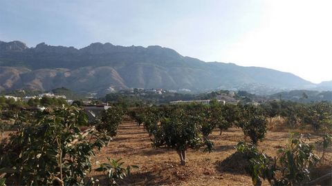 Flat rural plot with potential for sale in Altea la Vella This beautiful plot of land, completely flat, is located just 400 metres from the centre of Altea la Vella and its restaurants. It offers breathtaking panoramic views and boasts extremely fert...