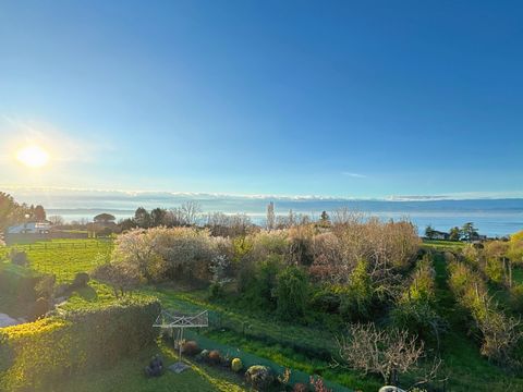 Exclusively at Authentique Agency - Ideally located in the town of Anthy sur Leman, at the end of a cul-de-sac just a few steps from the lake, this villa of 177m2 on the ground on 900m2 of land has a beautiful view of the lake and an orchard in a nat...