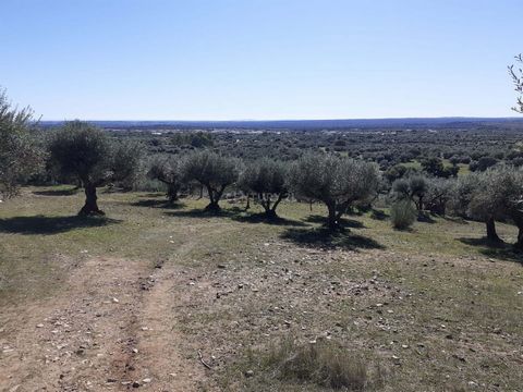Land next to the road with electric light pole, with ease of having electricity. With mains water and the possibility of drilling holes. With extraordinary views over Monsaraz, Alqueva, Corval and Reguengos de Monsaraz. We are with the competent auth...