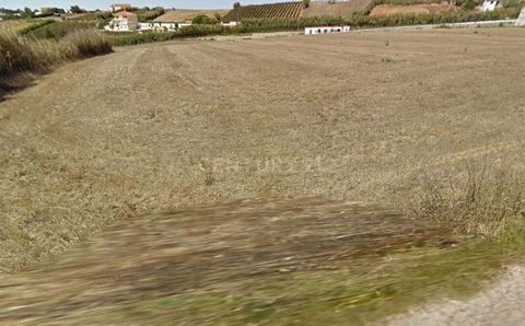 We present you these three rustic plots of land, in Casais da Mata, Encarnação, in the Municipality of Mafra, with 3000m2, 5875m2 and the third with 3125 m2. According to the PDM of Mafra, there is the possibility of building buildings to support the...
