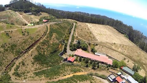 Grundstück mit 48 Hektar in Carreiras de Cima, südlich der Insel Madeira, Madeira-Archipel, Portugal. Es liegt 10 km vom Stadtzentrum von Funchal, 4 km von der Autobahn und 4 km von Poiso entfernt. Vollständig von Steinmauern umgeben; Eigenes Wasser ...