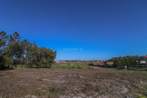 Rustic land with 2,340 m2 in Castanheiro, close to Estrada Nacional 109, in the parish of Bom Sucesso. This land is well located, with the possibility of planting pine trees in order to make the most of the space. Come and see, the price is negotiabl...