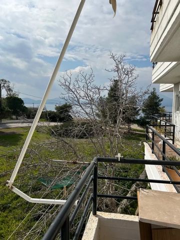 Offered for sale is an apartment of 65 square meters with one bedroom and a large terrace, located on the second floor of an apartment building located near the sea. The view it offers is excellent, overlooking the sea and the forest of the church of...