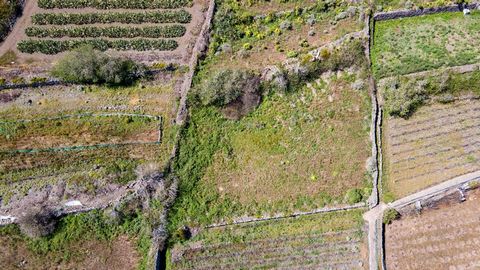 Attention farmers, investors and nature lovers! A magnificent piece of land ideal for agricultural activities is offered for sale in El Palmar, Buenavista. This land offers endless possibilities to cultivate a wide variety of crops. This land represe...