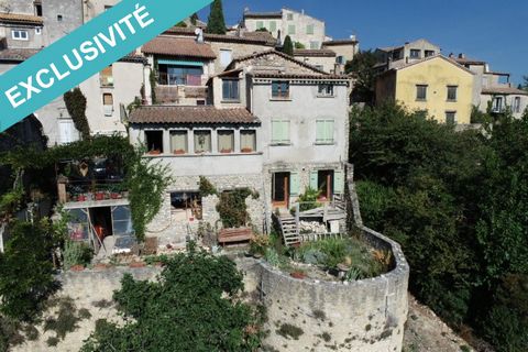 I present to you this village house with terrace, it is an exceptional property; a little paradise. Dated 1300, it is located on the ramparts of Dauphin and offers a splendid view! This house is made up of several apartments, the first in height with...