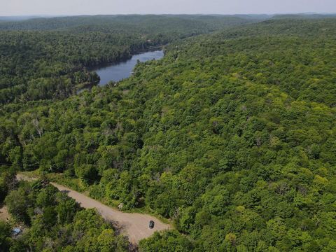 Seize this unparalleled opportunity to acquire an expansive 35.7-acre land in Wentworth-Nord,next to Morin-Heights,featuring a south-facing mountain peak and a lush forest predominantly consisting of valuable hardwoods(maple,beech,autumn cherry,white...