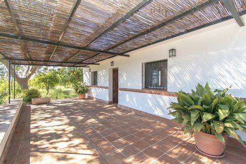 Charming Finca completely renovated located less than 1km from the center of Alozaina. The property is dirstriuted on one level as follow: Living room with fireplace, two bedrooms, kitchen and bathroom. It also has a large porshe at the front and a s...